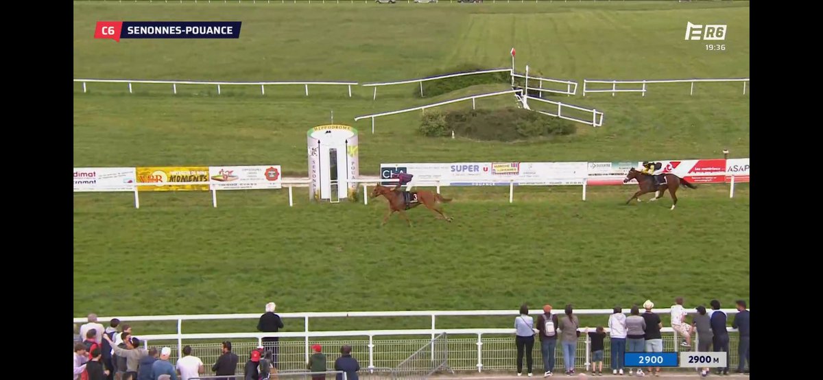 Ecurie Vivaldi tweet media