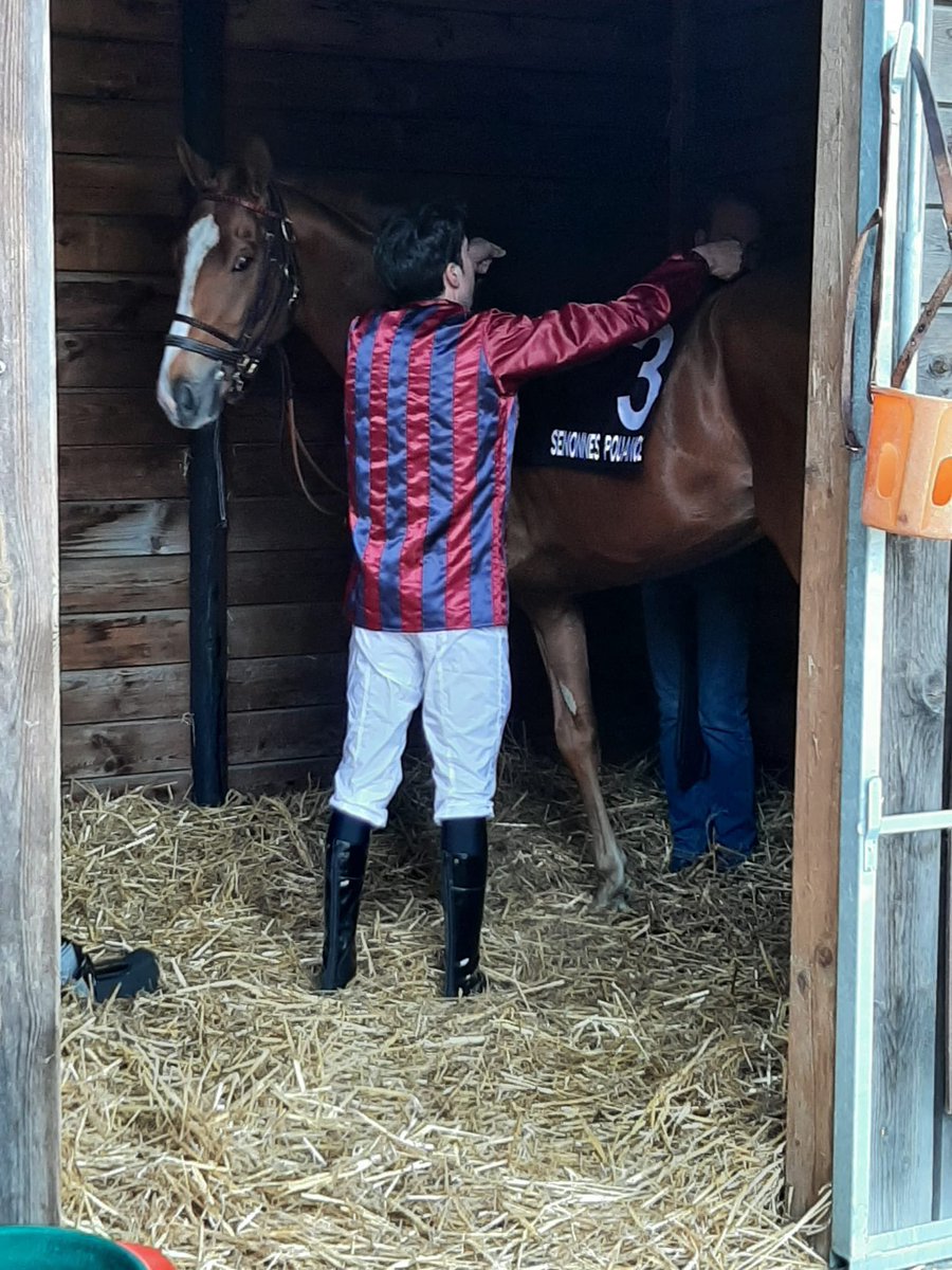 Ecurie Vivaldi tweet media