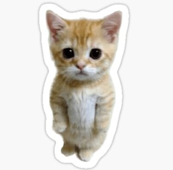 buildingcrypto's tweet photo. Sad Standing Kitten (ticker: $SSK)
https://t.co/pj7XUUxnIS
#SolanaMemeCoins #pumpdotfun @blknoiz06 https://t.co/2zykg8e0Hz