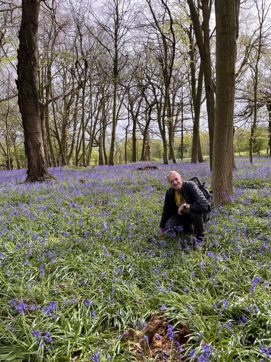 Sunday swimming with bluebells