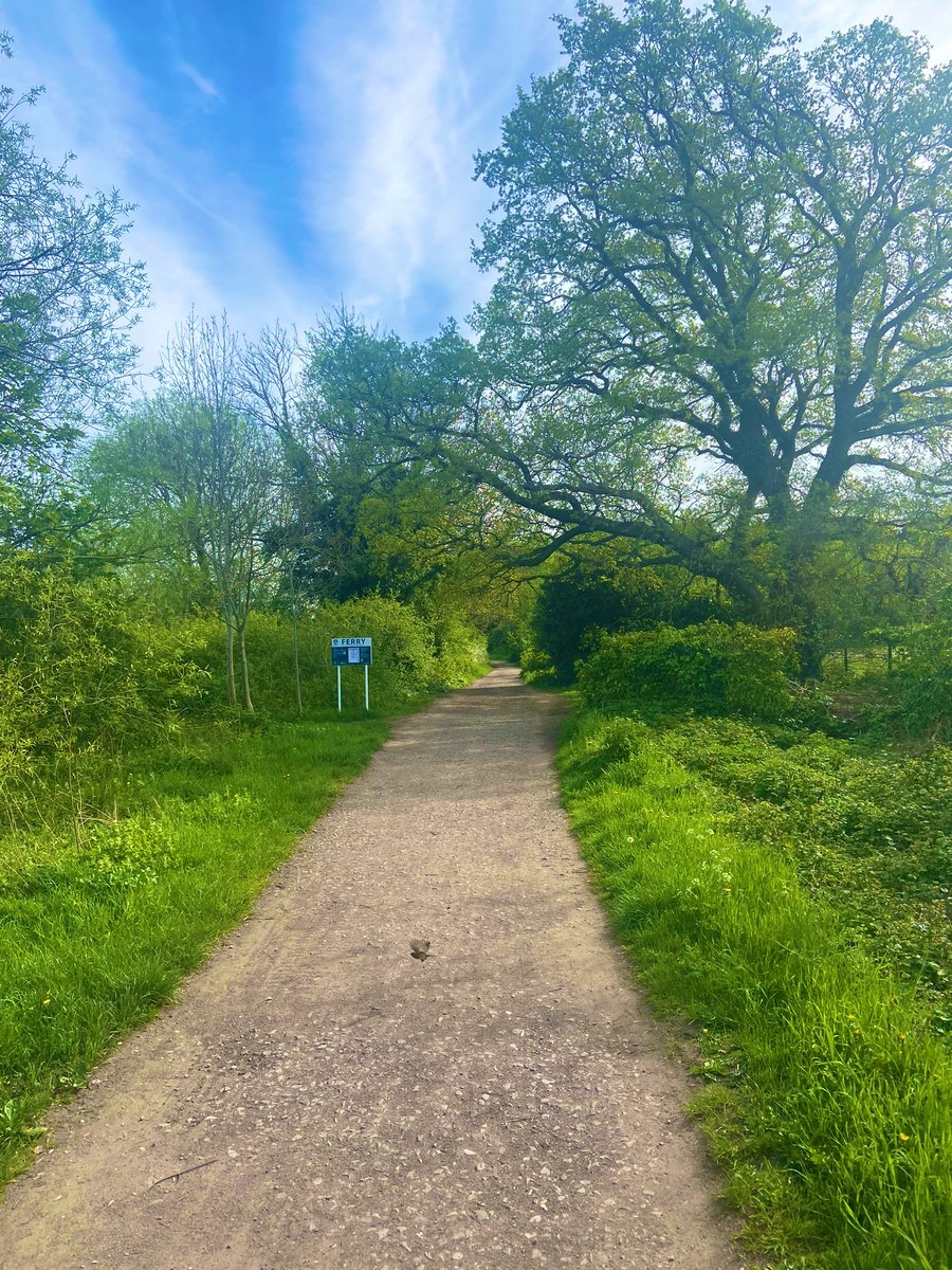 #NHS1000miles Wk15 A trip back to my old stomping ground #WaltononThames so an obligatory run this morning #RiverThames 32 miles (515 YTD) plus 5 hours yoga 🧘🏽‍♀️ #Loveyoga ♥️