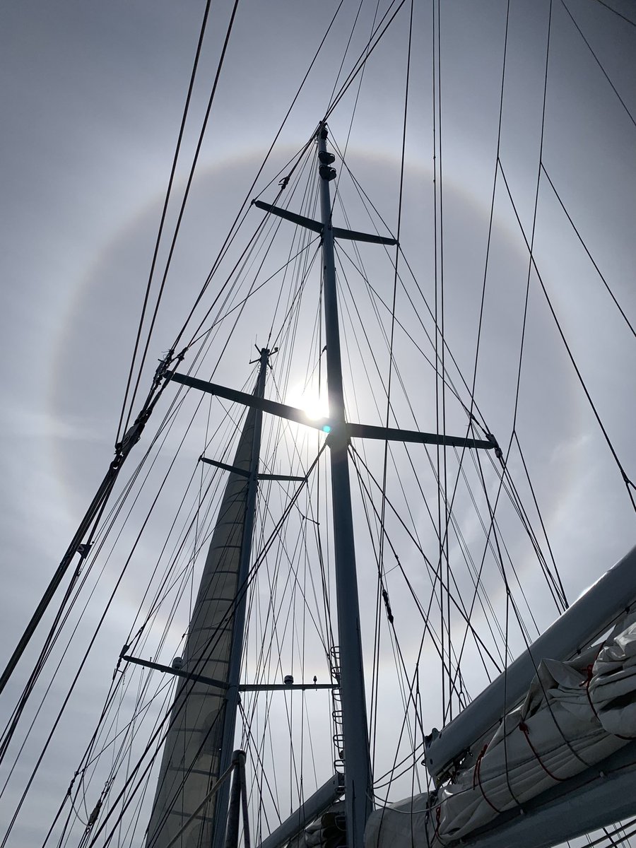 Wat een mooie dagtocht op de #eendracht <a href="/eendrachtschip/">Zeilschip Eendracht</a>
