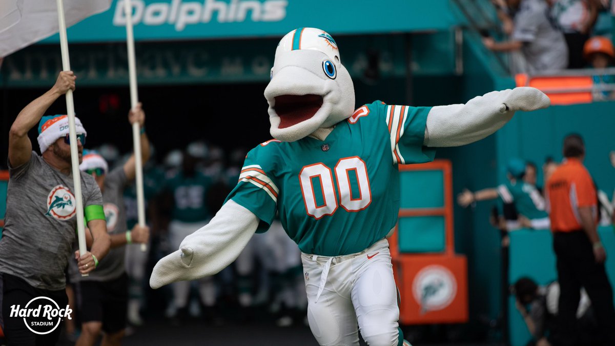 T.D. heard it’s #NationalDolphinDay 😄🐬