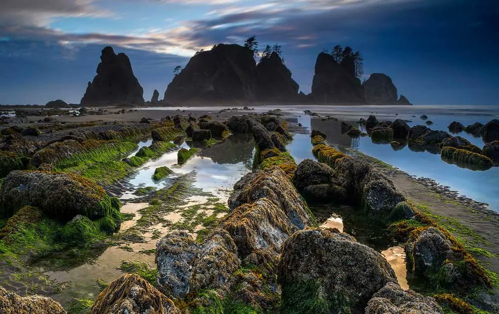 In my neck of the woods. Ruby Beach is the northernmost of the southern beaches in the coastal section of Olympic National Park in the U.S. state of Washington. Ruby Beach is notable for the number of sea stacks there. Wikipedia & Me. NMP.