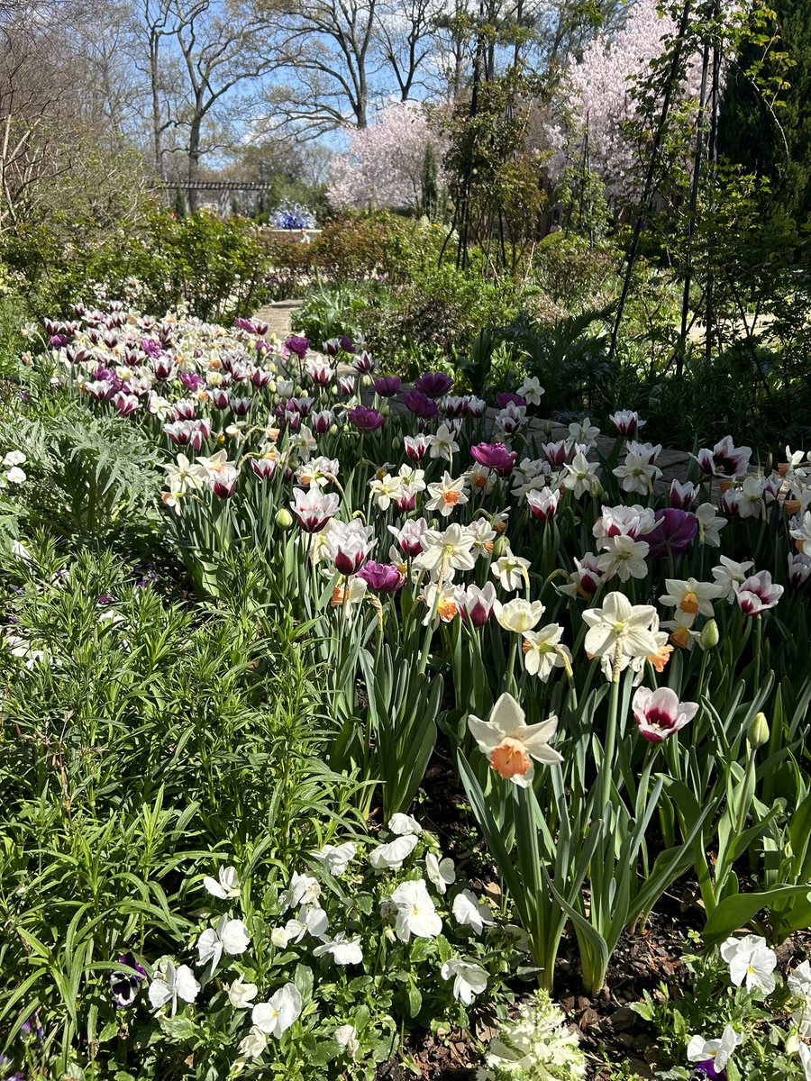 Can we have this kind of weather every weekend? Loved my first visit to @AtlBotanical and taking in all the spring flowers 🌺