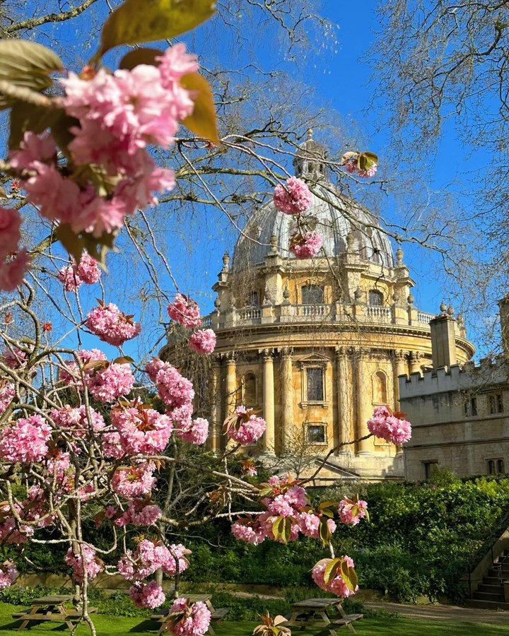 Spring has arrived in @ExeterCollegeOx's Fellows’ Garden 🌸 📷 Instagram | 12AtOxford