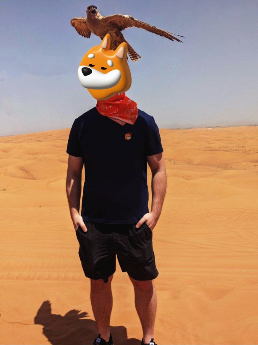 bonk_inu tweet picture