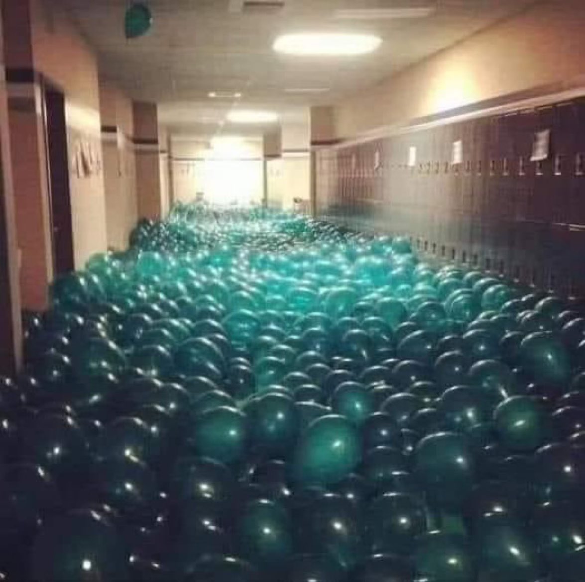 “A professor gave a balloon to every student, who had to inflate it, write their name on it and throw it in the hallway.  After the professor mixed all the balloons up, the students were given 5 minutes to find their own balloon.  Despite a hectic search, no one found their…