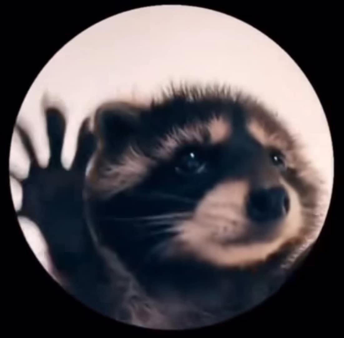 “Las imágenes no pueden oírse”

La imagen: