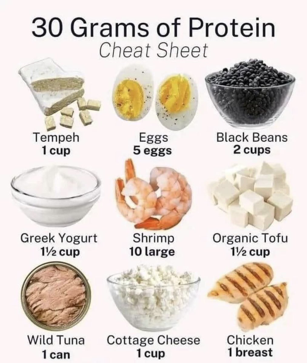 💪🏼 30 grams of Protein cheat sheet