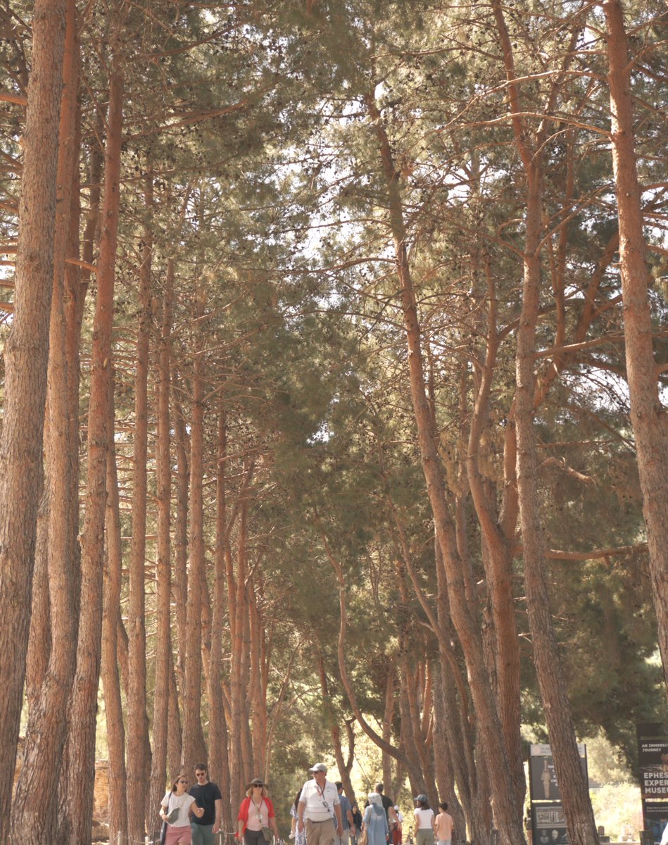 Efes Antik Kenti ⚜️🗿