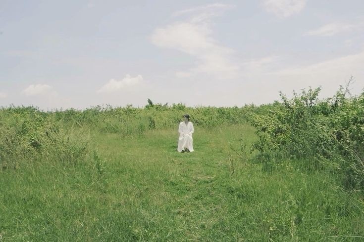 ͏ ͏͏ ͏𐙚 tweet media