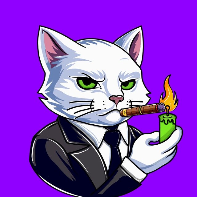 CryptoLordH's tweet photo. @MOREFIGURES_ @W0LF0FCRYPT0 @CandleOnSol #candl https://t.co/D7PCjEGi7I