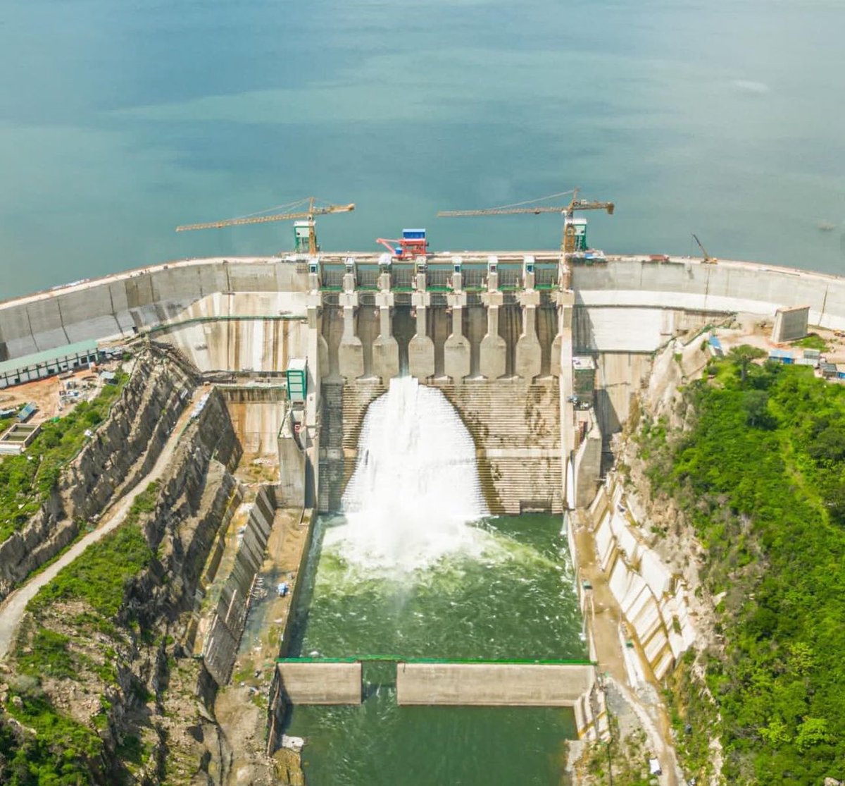 Masharikan 🌎 tweet media