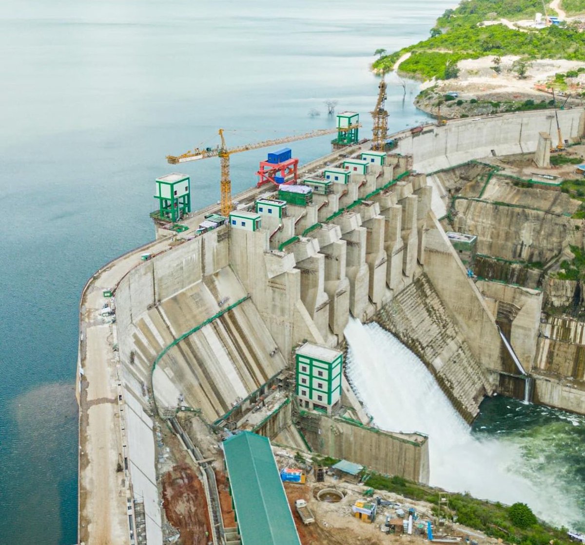 Masharikan 🌎 tweet media