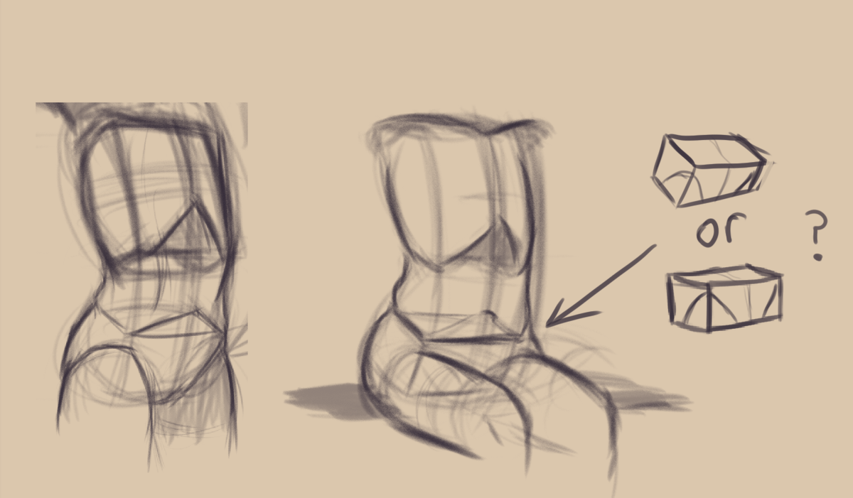 fellow artist friends i ask for help ^-^ Doing torso studying stuff and i have question about the pelvis box. I know that when standing it'll kinda naturally tilt and stuff, but does it still also do that when sitting down, or does it lay flat completely?