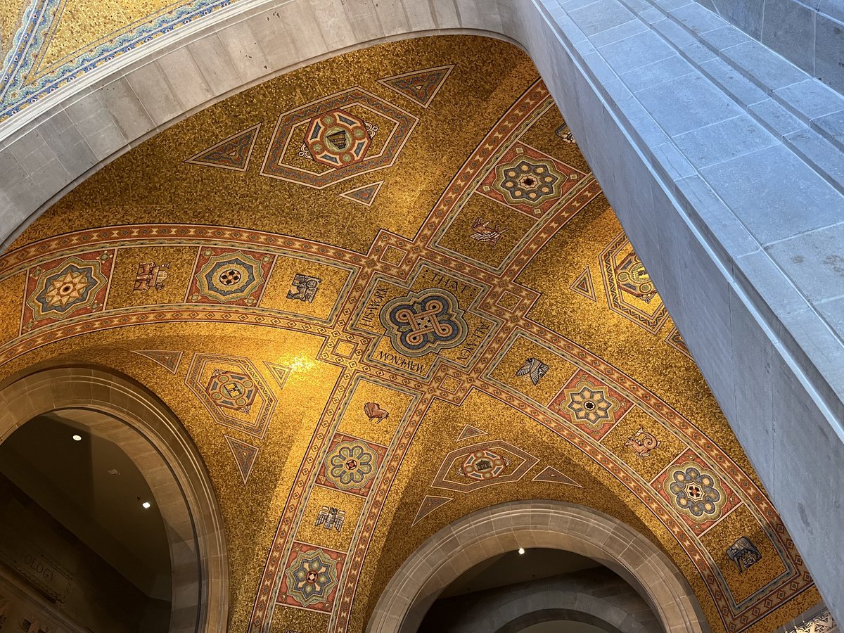 Not Europe or Asia but the glorious atrium of the ROM in Toronto ❤️🇨🇦