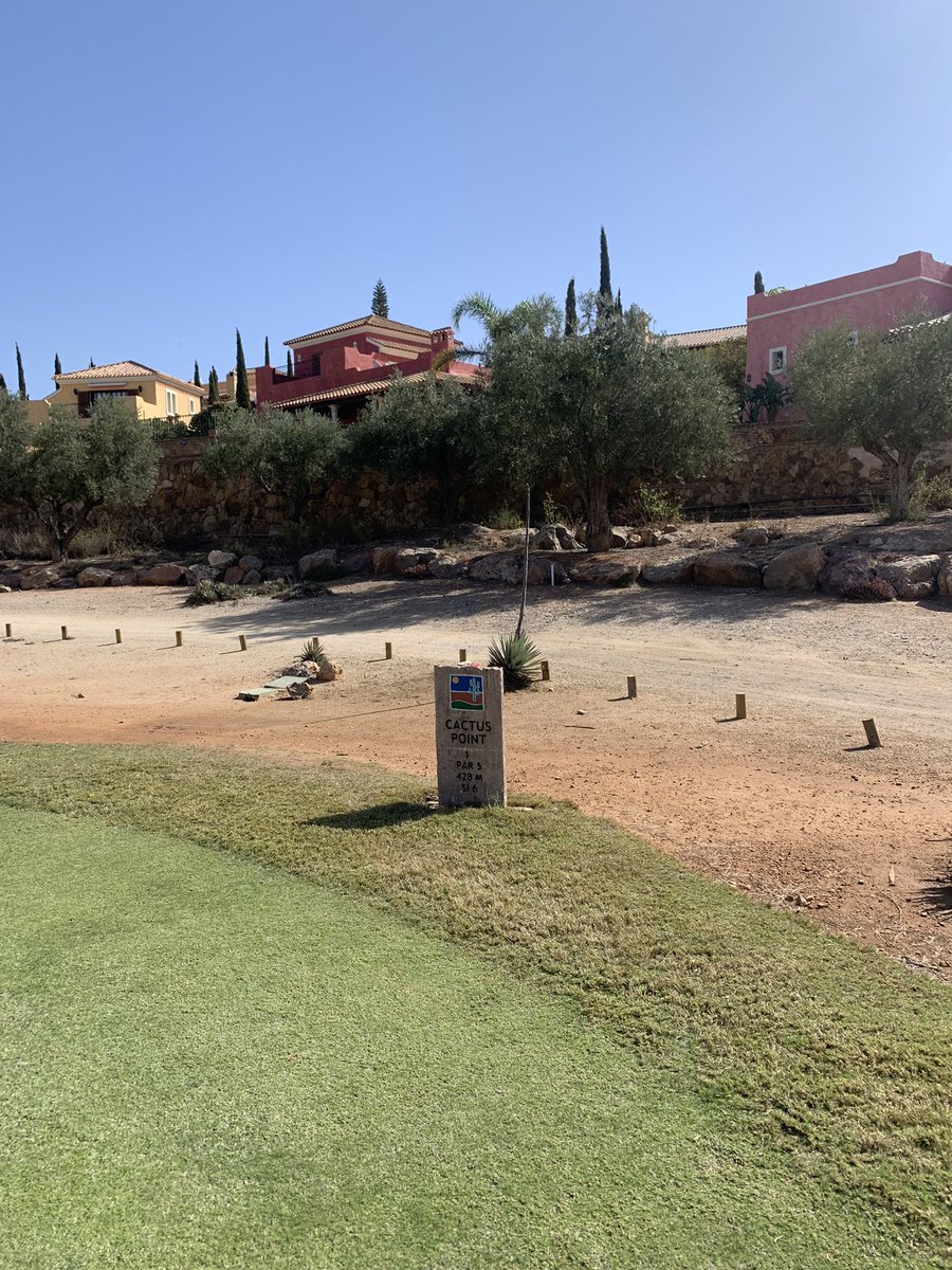 Mitchell Rao tweet media