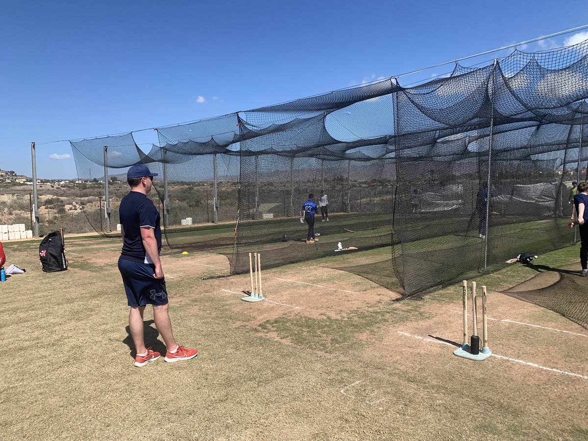 Mitchell Rao tweet media