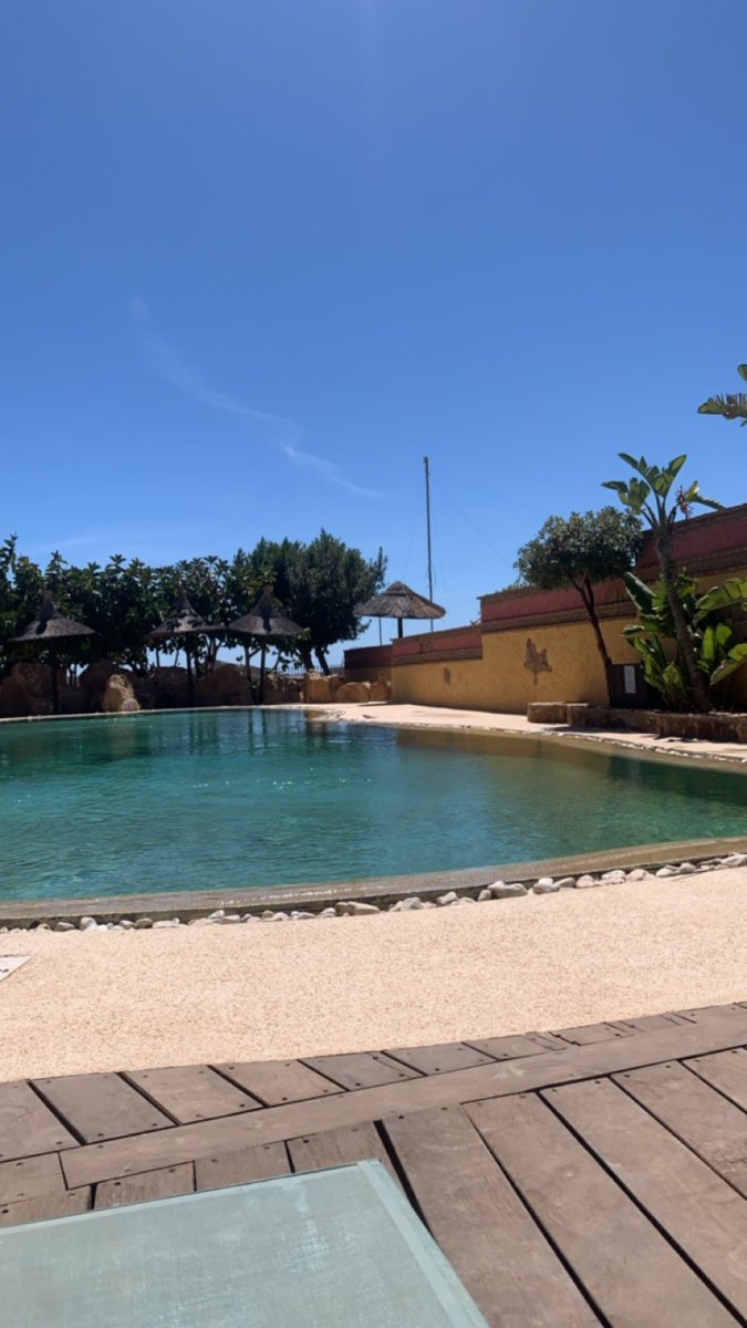 Mitchell Rao (@mitchellrao) on Twitter photo 