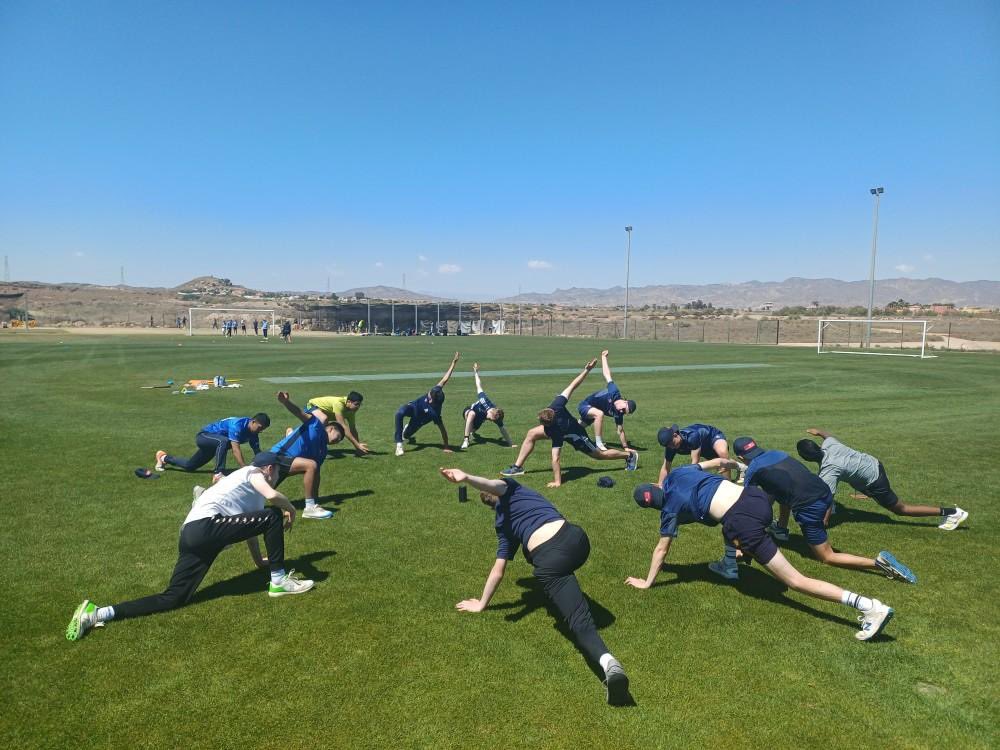 Mitchell Rao tweet media