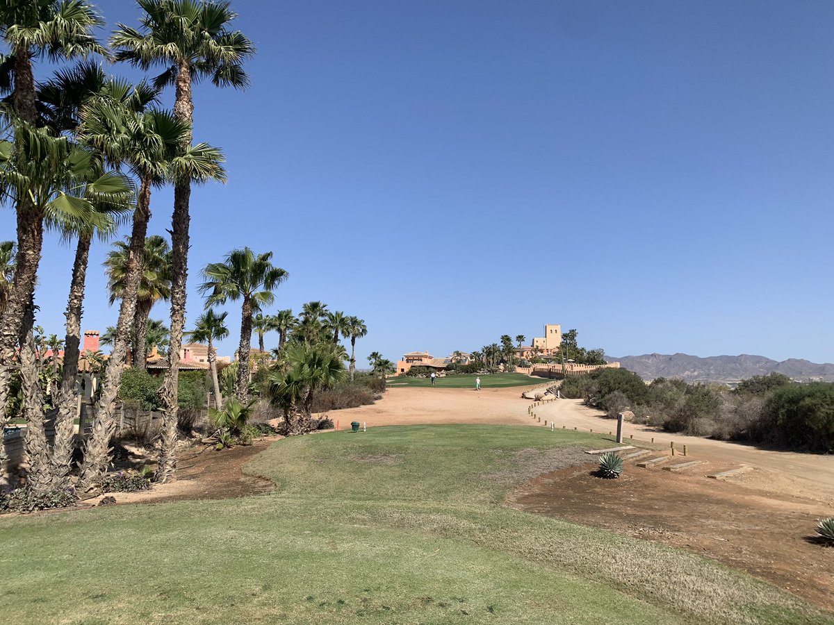 Mitchell Rao tweet media