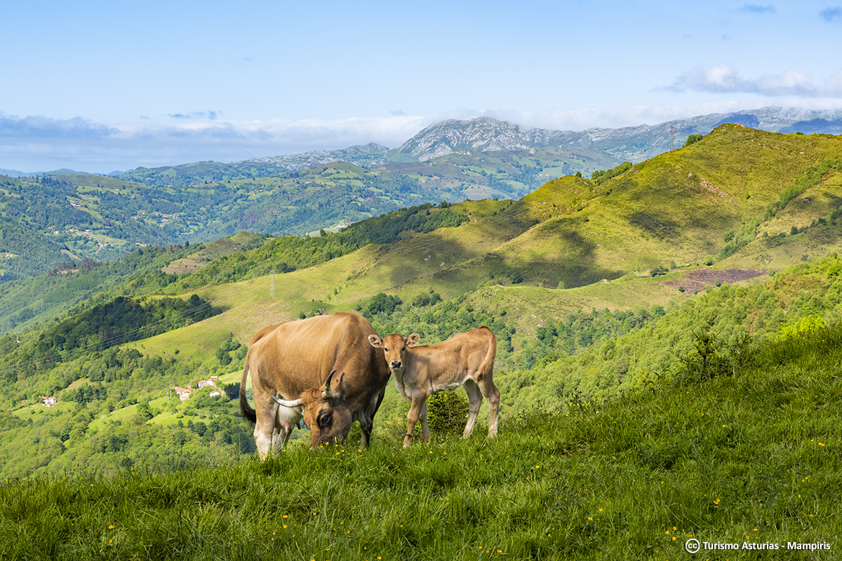 ¿Sabías que Asturias figura en el Top 3 de comunidades con más alojamientos sostenibles? 👇 eu1.hubs.ly/H08vy4g0