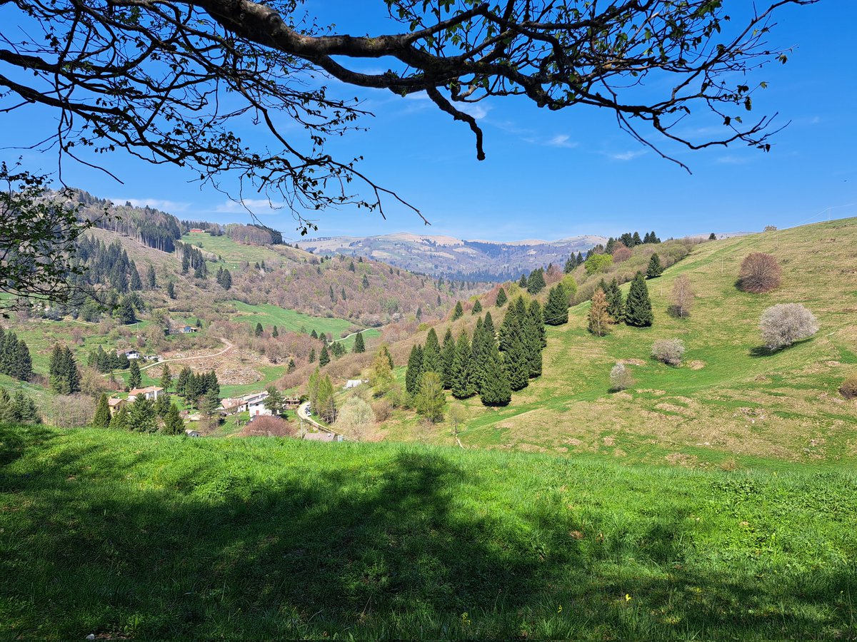 il_jo85's tweet photo. Sentiero del cavallo
Da Valle Santa Felicità a Camposolagna (800m di dislivello della giornta) sentiero 352 e  354  #montegrappa #Veneto #romanodezzelino #solagna https://t.co/gPw2sUZpjA