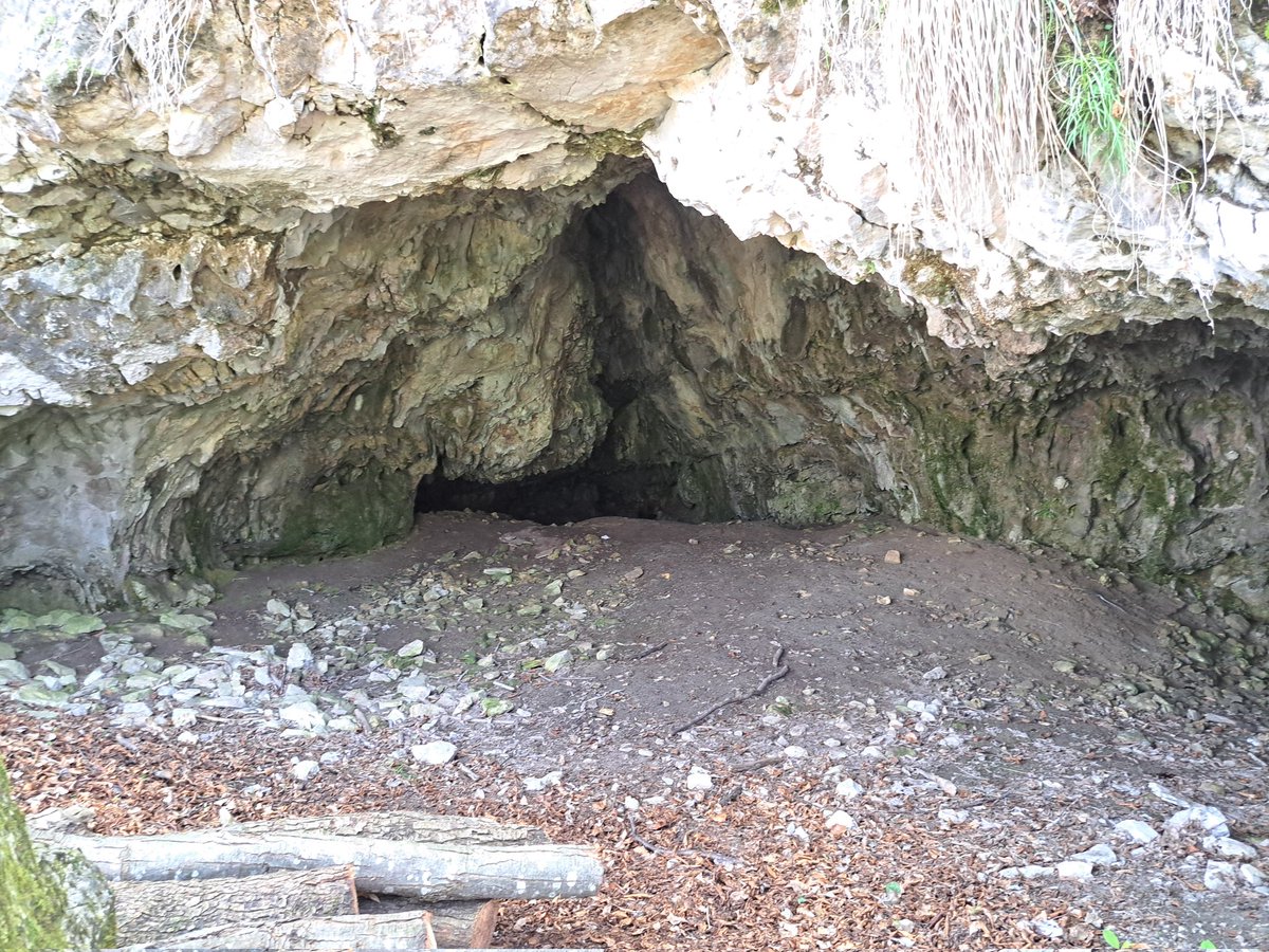 il_jo85's tweet photo. Sentiero del cavallo
Da Valle Santa Felicità a Camposolagna (800m di dislivello della giornta) sentiero 352 e  354  #montegrappa #Veneto #romanodezzelino #solagna https://t.co/gPw2sUZpjA