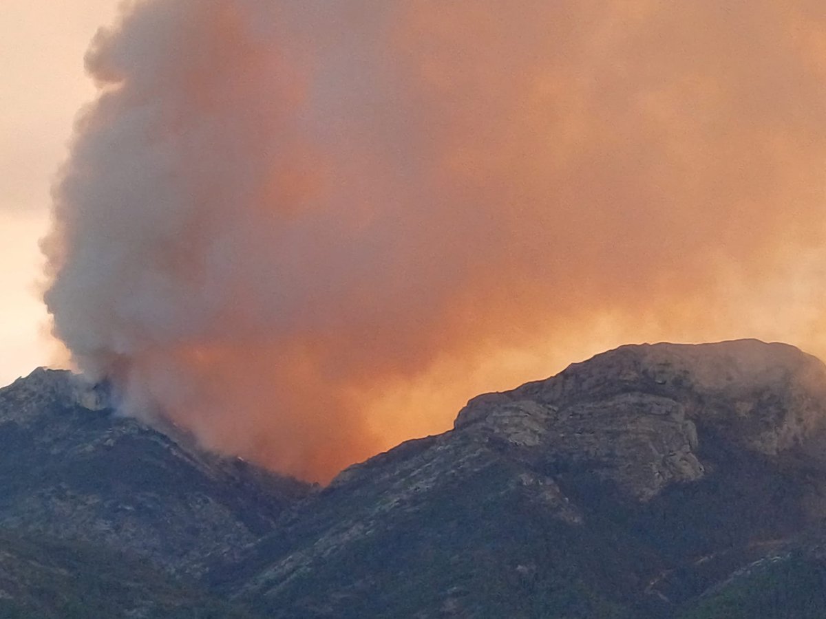 MeteOrihuela's tweet photo. #IFTàrbena. ¡Qué triste! Esta tarde (14/04/2024), #incendio forestal entre #Tarbena y #Parcent (#Alicante). Por el régimen de vientos dominante, parte del humo está llegando a la comarca #VegaBaja del Segura. Mucho ánimo a los equipos de extinción. Imágenes: @VOSTcvalenciana. https://t.co/YpQmTdUxmy
