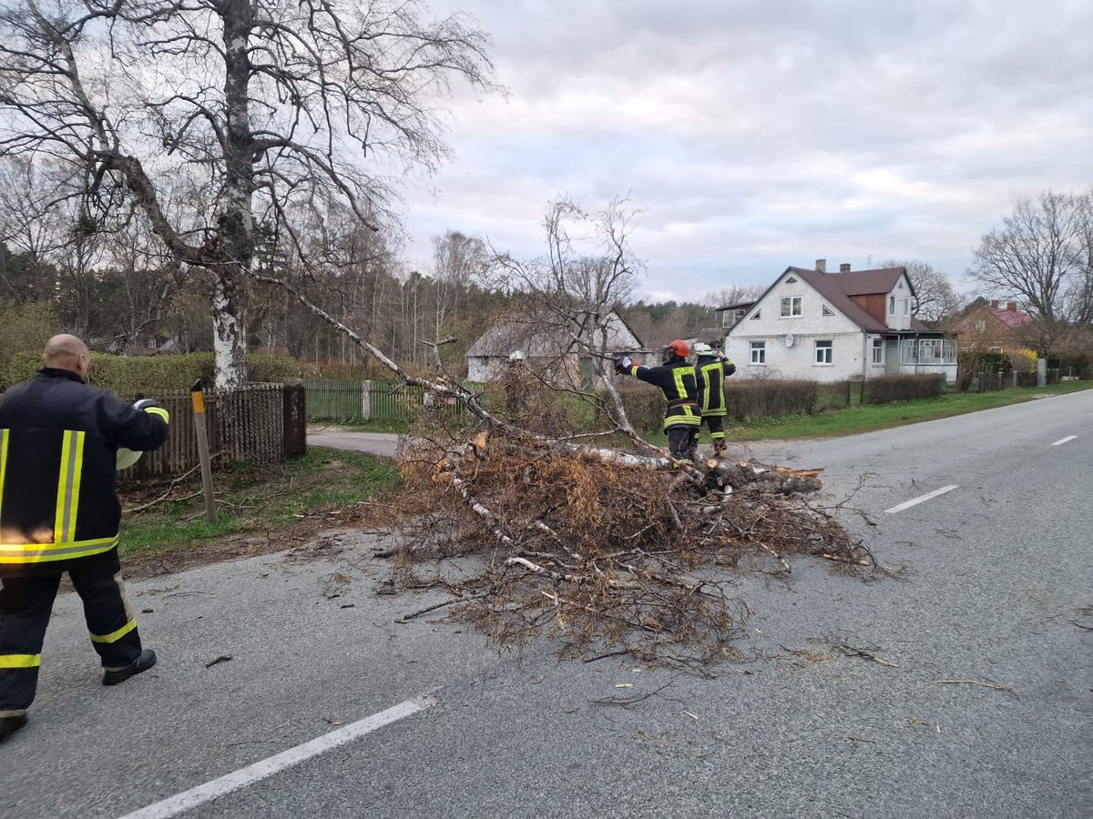 enguresbub's tweet photo. 14.04.2024 - plkst. 19:46 #EnguresBUB saņēma izsaukumu par kritušu koku Bērzciemā. Devāmies atbrīvot brauktuvi vienas autocisternas un piecu cilvēku sastāvā. https://t.co/26wwlNu9qv