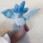 Photo by ✨❄️ kirsten ❄️✨ (@tinyarticuno)