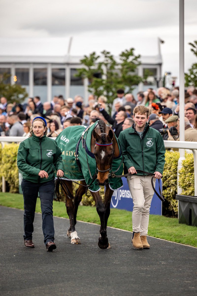 When we’re not the parade ring drama for once 👀 @lucinda_sims60 turned him out exceptionally again 👌 📸 @s_farnsworth1 👏