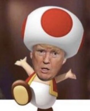 @AZ_Brittney #TrumpIsACriminal All my support for the one who fights against the mushroom man. 💙😈