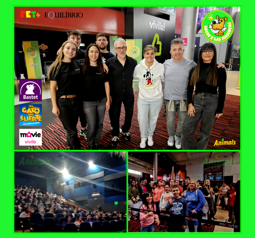 LocosMascoteros's tweet photo. 🐾🎞️💚Sin dudas que ayer fue #UnExito ! Peli + sala llena + #jornadadeadopcion + pop + refresco = #serepite !! Gracias @MovieUy por otra función especial para #locosxlasmascotas ésta vez para colaborar con #bastet Que se repita! #NoAlMaltratoDeLosAnimales #tenenciaresponsable https://t.co/RqYHEgJG6b