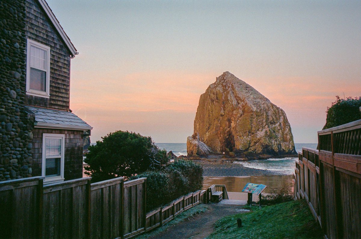nev_in_color's tweet photo. Along the Oregon coast on 35mm 🎞️ https://t.co/7XYKJ3G04F