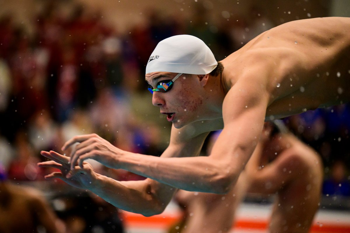 OLYMPICS BOUND ‼️ Jere Hribar qualified for the 2024 Olympic Games in the 50-meter free with a time of 21.94! 📄 lsul.su/3PX2z5B