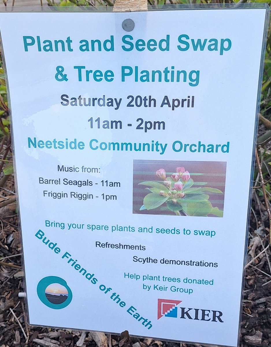 Plant and seed swap next Saturday with <a href="/FoEBude/">FoE Bude</a> + music + scythes