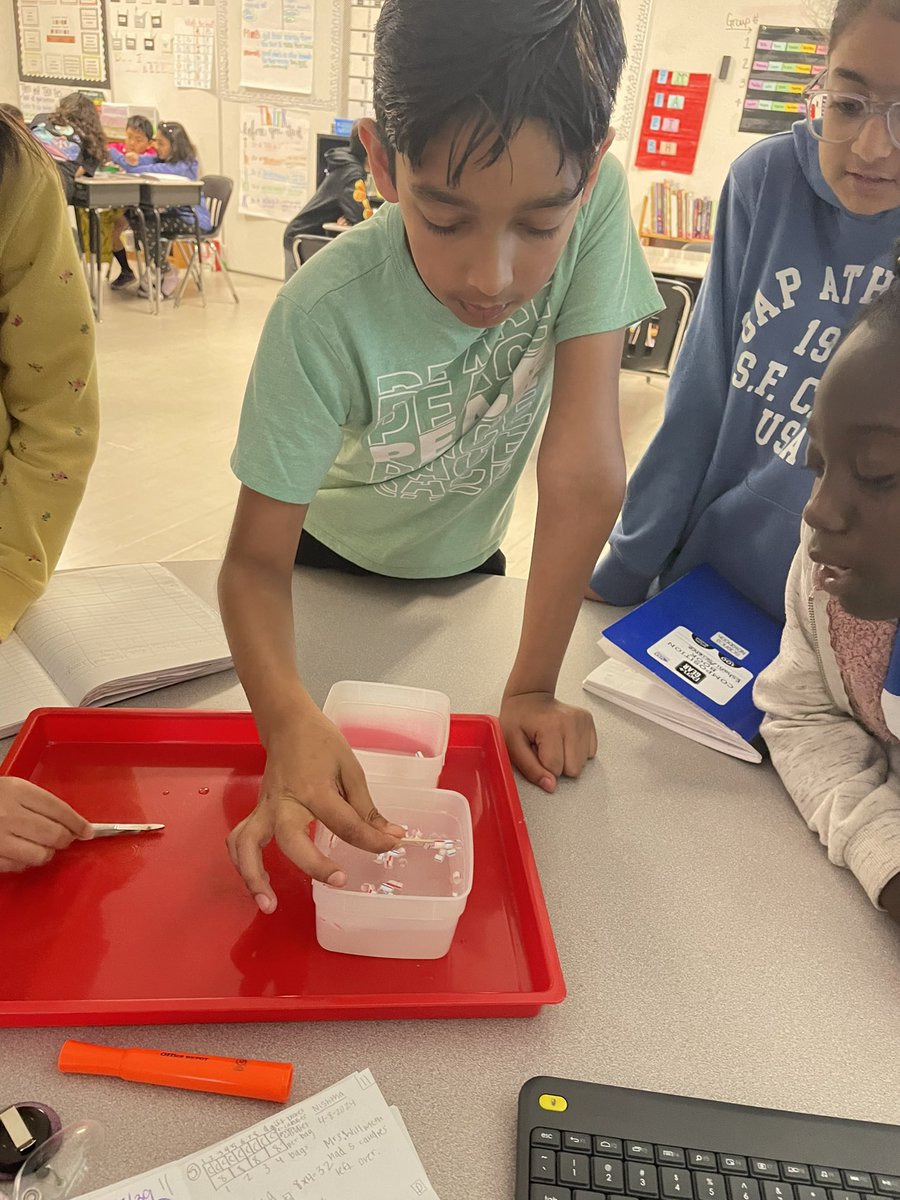 My students DOING SCIENCE is what makes my heart so happy! We investigated a phenomenon about the structure and function of different types of bird beaks. The expressions on these faces says it all. @FBISDscience #PAEMST @CVME_Huskies