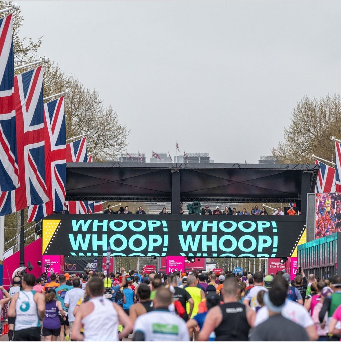 Hayley Mackellar tweet media