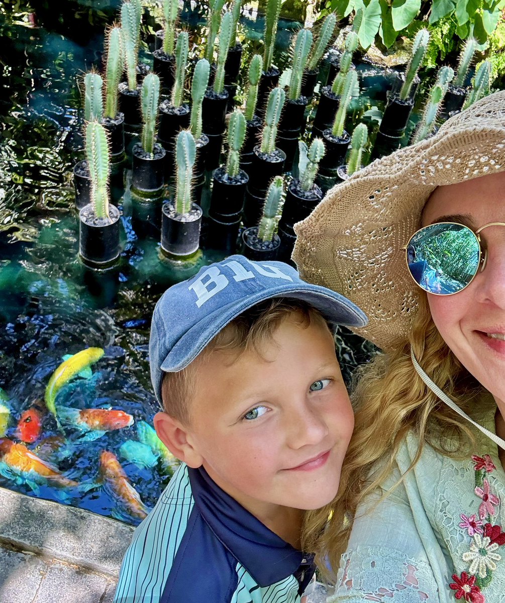 Koi pond at Marie Selby Botanical Gardens, Sarasota, Florida 🐡🐠🐟☀️ #botanicalgardens #sarasota #florida #selbygardens #koi #koipond