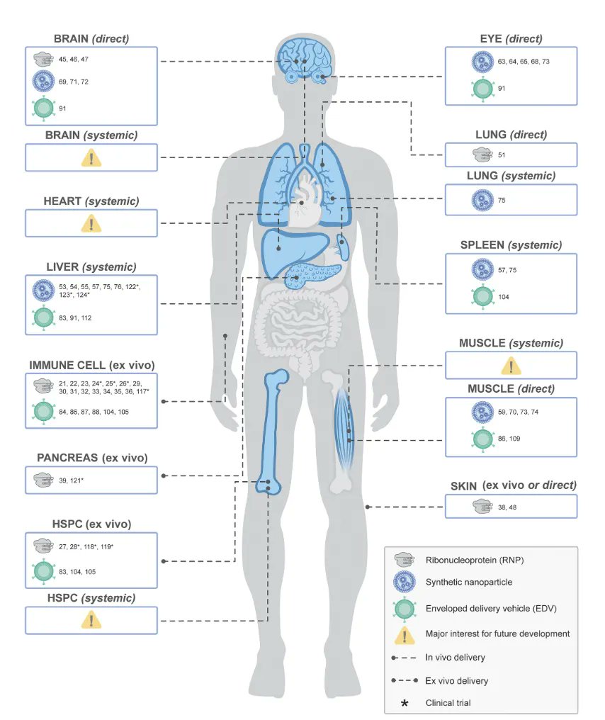 EricTopol's tweet photo. Genome editing to *cure* diseases is just getting started. My conversation with Jennifer Doudna
@doudna_lab @igisci 
in the new Ground Truth podcast (link in profile)
(I made the mistake earlier of providing the link that is algorithmically blocked by X) https://t.co/JiD5Sxro3q