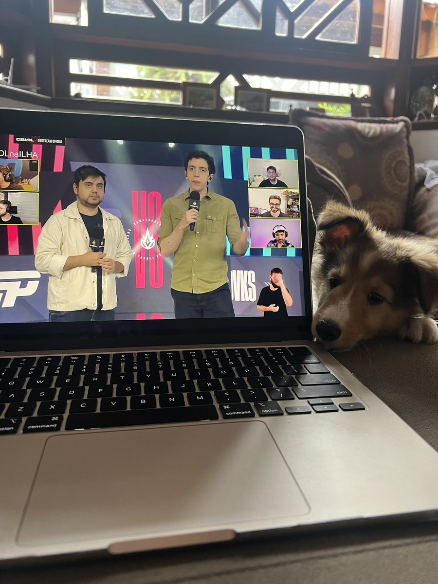 F_Limax's tweet photo. Solteiro mas com meu filhote q está fazendo 2 meses hoje, assistindo #CBLOLnaILHA https://t.co/fvr32kn2Qv