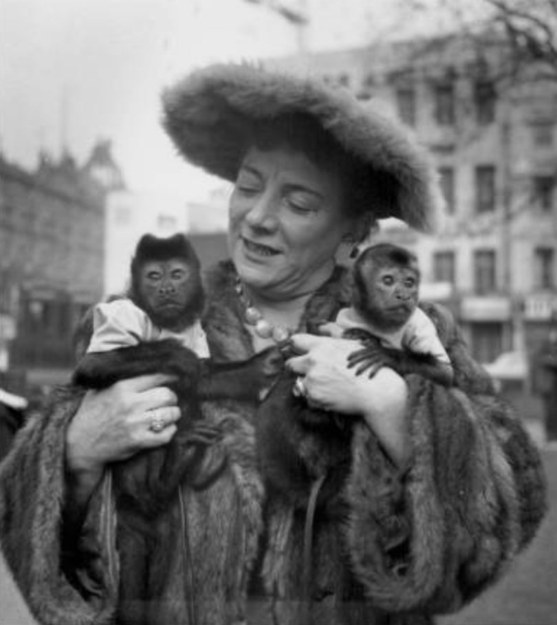 Hylda Baker and her pet monkeys (1956).