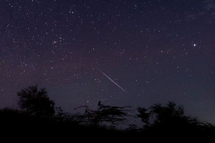 elemmiressoul's tweet photo. watching the stars. https://t.co/QWGhrYCAJS