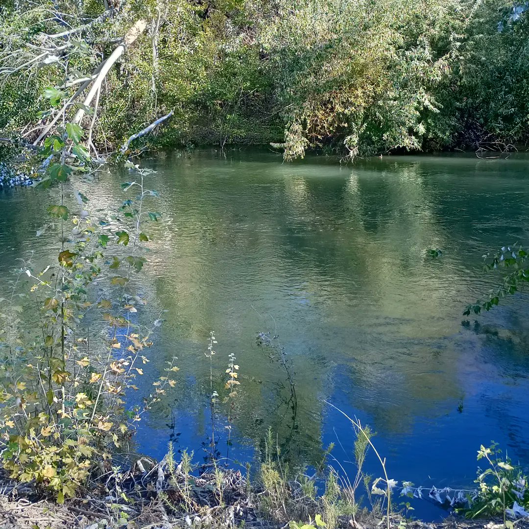 El valle
La fiesta del citron
Un domingo de otoño
En Chubut