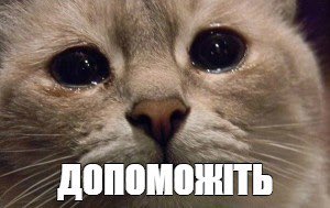 Через місяць треба здавати тупо жахливий усний іспит з медицини чужою мовою і я вже тупо лізу на стіни, мій мозок вже на це не здатен, я мале, тупе, і вже вообще ніче не розумію. Сенд хєлп.