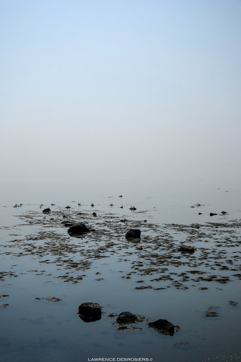 Marée basse dans le brouillard… #Photographie