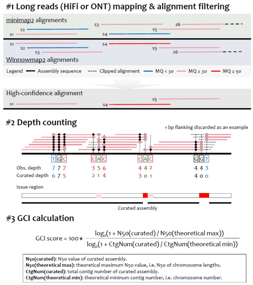 GCI: Genome Continuity Inspector for complete genome assembly biorxiv.org/content/10.110…