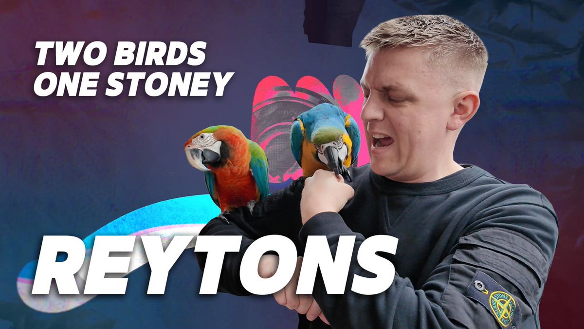 OUT NOW!!!!! Head over to our YouTube Channel for episode one of the new series of 'Keeping Up With The Reytons'! Catch all behind the scenes action from the Netherlands and Norway, including Parrot bites, frostbite and the odd one from Lee… #AllReytons